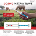 Ivermectin Horse Paste 1.87% Dewormer, Apple Flavored, 6.08g Syringe