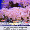 SunGrow Tough Borosilicate Glass Shrimp & Gecko Feed Dish, Wide and Deep, Transparent Basin for Shrimp Food, Dog & Cat M
