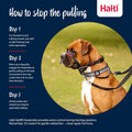 Halti Optifit Headcollar for Dogs | Size L