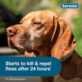 Seresto Flea & Tick Collar for Dogs Over 18 lbs., Treatment & Prevention, Vet-Recommend, 8 Month Protection (Pack of 2)