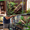 4 Pack Cork Terrarium Background, Natural Bark Climb Mat