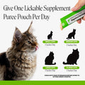 Pet Honesty Vet Backed Cat Probiotics Lickable Puree, Salmon, 20 Ct