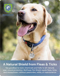 Shield Tag - Natural Flea & Tick Repellent Collar Tag for Dogs & Cats - Waterproof, Lasts 12 Months - Stainless Steel Pe