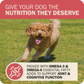 Redbarn Air Dried Powerfood Fusion Kibble Grain Free Land Mix Recipe 3.5 lb
