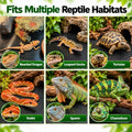 Reptile Carpet Mat 17.7x79, EVA Tank Liner for Bearded Dragon