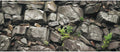 72X24IN Stone Aquarium Background, Rock Fish Tank Background, Natural Rocky Glass Terrarium Background with 8 EVA Double
