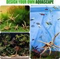4PCS Natural Spider Wood, 4-8" Driftwood for Aquarium & Reptile Tank Decor