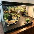 Reptile Tank Liner Non-Slip Washable Reptile Substrate - Easy Clean Custom Fit Terrarium Bedding for Snakes Geckos Lizar