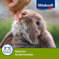Vitakraft Drops Rabbit Guinea Pig Hamster Treats Watermelon Flavor 4.4 Ounce Bag Delicious Yogurt Enriched Drops with Fr