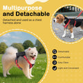 Adjustable Dog Backpack Harness with Reflective Leash, Backpack for Small Dogs, Built in Poop Bag Dispenser, Detachable 