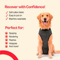 BellyGuard Dog Surgery Recovery Suit, Dog Onesie for Post-Op Care, Recovery Apparel for Female and Male, Surgical Body Cover for Canine Healing Support