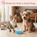 PTB4 Rechargeable Talking Buttons for Cats and Dogs, Set of 4