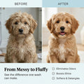 PET CARE Sciences 16 fl oz Tearless Puppy Shampoo and Conditioner - Dog Shampoo Itchy Skin Relief - Coconut Oil Oatmeal Shampoo for Dogs - Hypoallergenic Dog Shampoo Sensitive Skin, Made in the USA.