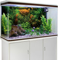 36x24 in Seagrass Aquarium Backdrop Aquatic Plant Fish Tank Background