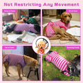QUEARN 2 Packs Breathable Cotton Dog Recovery Suit for After Neuter Spay Abdominal Wounds Protector, Professional Anti-Licking Onesies for Male Female Pets Surgery Bandages, XL Purple & Pink Stripes