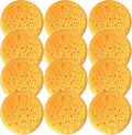 A Box of 12 Tack Sponges (coarse Holes)