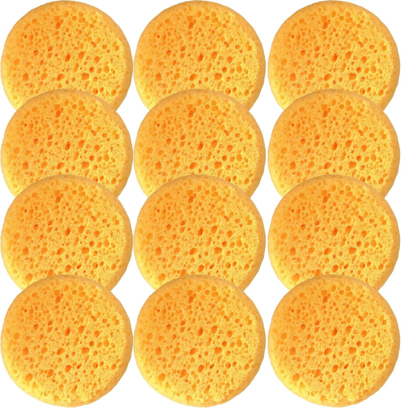 A Box of 12 Tack Sponges (coarse Holes)