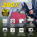Dogtra 280X E-Collar with Remote [New Edition] 10 lbs+, 1/2 Mile Range, LED Light, 100 Levels of Precise Control for Stu
