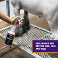 Weaver Livestock ProCharge Reconditioning Liquid, Hide Hair, Wool Shampoo to Revive, Nourish and Restore, Daily Use, Cat