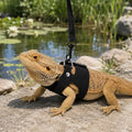 3 Pack Bearded Dragon Harness and Leash Set - Adjustable Escape-Proof
