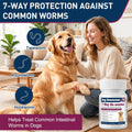 AETHER 7-Way Dewormer for Large Dogs & Puppies Over 25 lbs, Broad-Spectrum Worm Support for Tapeworm, Roundworm & Hookwo