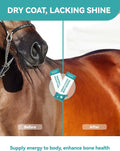 Horse Feed Topper with Flaxseed, High-Fat Feed Mix with Corn & Rice Bran, Easy-Mix Horse Feed Additive 1400g