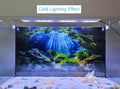 Underwater Cave Aquarium Background Rocks Water Plants Sunburst Landscape Fish Tank Background 24x12 Inches PVC Glass Co