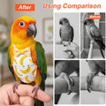 Gjinxi 4 Pcs Bird Diaper,Parrot Diapers,Reusable Pet Bird Nappy Flight Suit