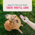 VetIQ 8-in-1 Multifunctional Dog Supplement Chews, 90ct
