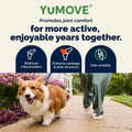 YuMOVE Adult Dog Hip & Joint Soft Chews, ActivEase Green Lipped Mussel, Glucosamine for Dogs, Hyaluronic Acid & Omega 3 - Barbecue Flavor (300ct Chews, Regular Strength)