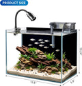 3.3 Gallon Small Fish Tank Glass Aquarium Complete Kit for Betta Fish