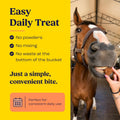 Summit Equine Joint & Mobility Bites Daily Supplement for Horses, Liposomal Delivery, Max Absorption, Vet Recommended, A