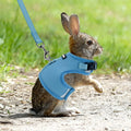AIITLE Adjustable Rabbit and Leash Set - Lightweight & Portable, Padded Vest with Magic Tape Design, Indoor/Outdoor Use 