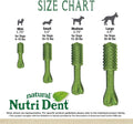 Nylabone Nutri Dent Natural Dental Chews for Dogs, Limited Ingredient Dog Treats Made in the USA, Clean Teeth & Fresh Breath, Healthy Dog Chews, Fresh Breath Flavor, For X-Small Dogs, (160 Count)