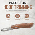 Equine Care Farrier Loop Hoof Knife, J2 Stainless Steel, Wood Handle