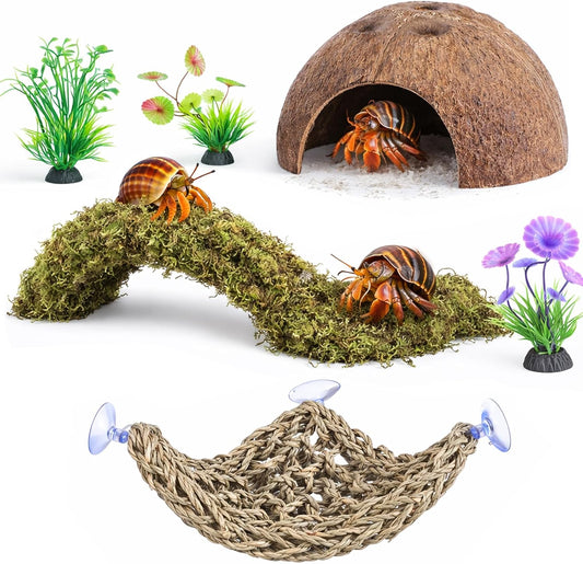 HERCCOCCI Hermit Crab Accessories, 6Pcs Hermit Crab Toys Coconut Shell Hut Climbing Hammock Artificial Plants for Hermit