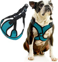 Gooby Comfort X Step-in Lite Harness, Choke-Free, Turquoise, Small