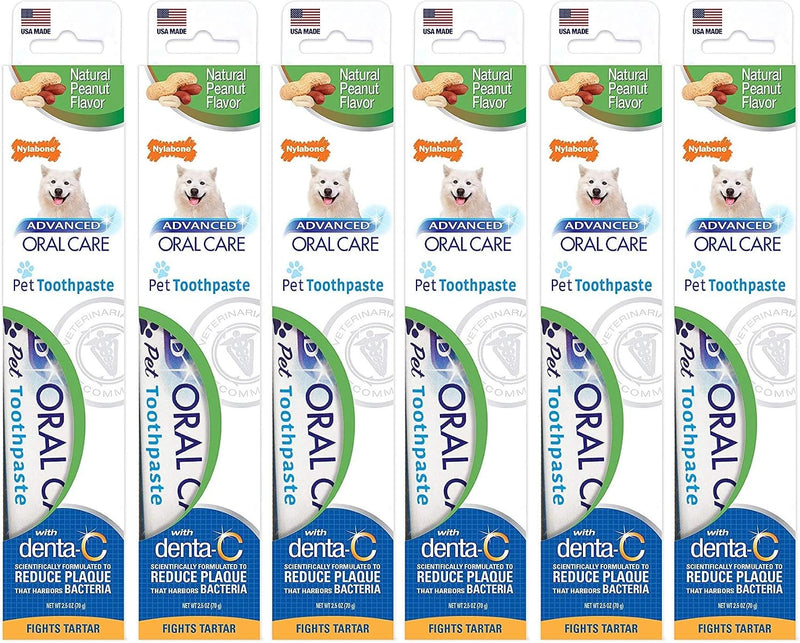 Nylabone Advanced Oral Care Natural Toothpaste