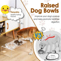 Acrylic Elevated Dog Cat Bowls Pet Feeder Double Bowl Raised Stand Comes with 2 Removable Glass Bowls and 2 Stainless St