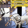 Transparent Dog Rain Poncho for Small Medium Dogs - Thick Waterproof Raincoat with Hidden Leash Hole & Adjustable Snaps,