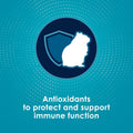 Kaytee Forti-Diet Pro Health Nourish+Protect Hamster Food & Gerbil Food