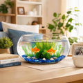 Jucoan 0.9 Gallon Glass Fish Bowl with Decor, Clear Round Shallow Glass Bowl for Betta Fish and Aquatic Plants, Includes