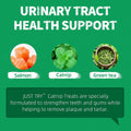 Just Try 13.4 OZ Crunchy Cat Treats Catnip Treats for Cats with Digestive Support, Natural Ingredients Kitten Treats with Real Salmon, Healthy Feline Snacks Training Biscuits Dental Care