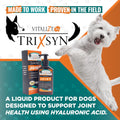 Vitalize® TRIXSYN® Canine, 6 fl oz (3 Pack)