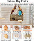 Bird Tunnel for Cage with Chew Toys, Only for Small-Sized Bird