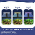 5.3 Gallon Fish Tank, Betta Fish Tank, Starter Kit, Aquarium for Beginner