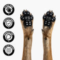 Dog Friendly Co. Single Use Dog Paw Pad Protector (X-Large, 20 Count)