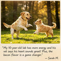Liquid Taurine Supplement for Dogs - Bacon Flavor Dog Heart & Circulation Support with Dropper - Essential Amino Acid fo