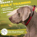 Fida Durable Slip Lead Dog Leash, 6 FT x 1/2" Dog Training Leash