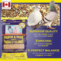 Hagen Pigeon & Dove Seed Mix, Original Formula Bird Food, 6 lb Bag